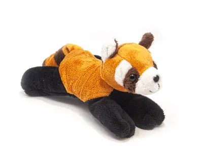 Image de Cornelissen - Doudou - Panda rouge - 22 cm