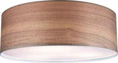 Image de Paulmann Plafonnier Neordic Liska 3-flamme