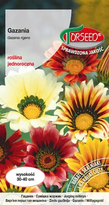 Produktbild von Gazania-Samenmischung - Torseed