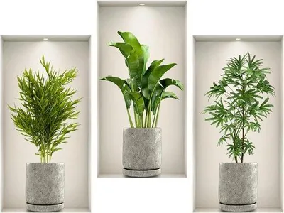 Image de Stickers muraux 3D « Plantes » en PVC vert, 45 x 23 cm