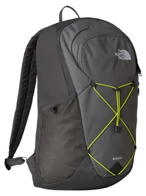 Produktbild von THE NORTH FACE RODEY BACKPACK Grau
