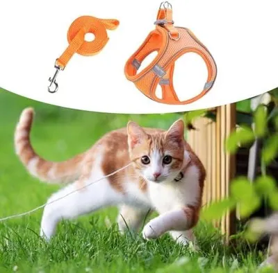 Produktbild von Verstellbares Hundegeschirr und Leine mit reflektierenden Elementen für Katzen und Hunde