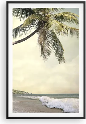 Produktbild von Gerahmtes Poster - Schwarzer Rahmen - Palme Strand Insel - 61x91,5 cm - Wand Bild - Wanddeko - Wandbilder - Kunstposter - Wandposter - Bilderrahmen - Bilder - Kunstdruck - Wandbild - P2BPA61x91-4154