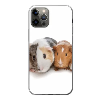 Produktbild von MuchoWow® Handyhülle Schutzhülle Hülle für iPhone 13 Pro Fünf Meerschweinchen Silikon Softcase Handy Hülle - Handy-Tasche