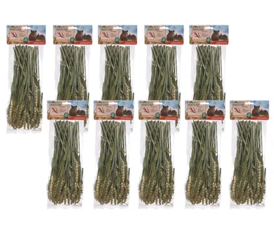 Produktbild von Dehner Best Nature Nagersnack, Knabberhalme 100 % natürlich, für Zwergkaninchen / Nager, Weizen, 10 x 75 g (750 g)