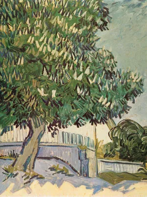 Zdjęcie produktu dla Obraz z nadrukiem Vincent Van Gogh - Kwitnący kasztanowiec II, 1890 (80 x 60 cm)