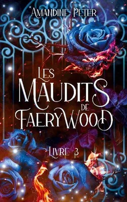 Produktbild von Les Maudits de Faerywood, Livre 3