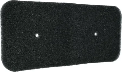 A black foam filter with two small holes in it, isolated on a white background.
