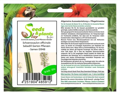 Produktbild von 10x Schoenocaulon officinale Sabadill Garten Pflanzen - Samen ID948