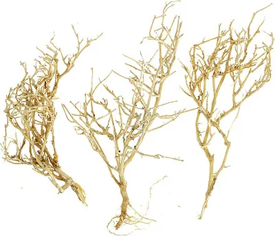 Produktbild von Deko Trockenholz Dry Tree - gebleichte Naturäste für Floristik und Modellbau, 500g