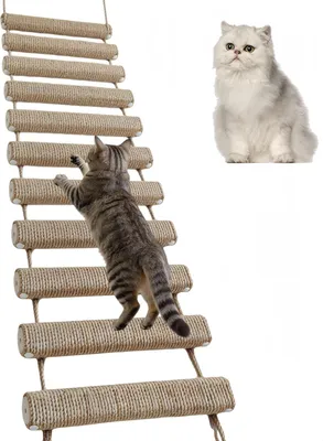 Produktbild von Katzenbrücke 150 cm, Sisalseil, für Wand