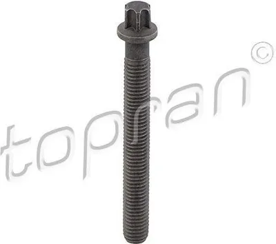 Obrázok produktu pre Skrutka remenice TOPRAN 503 132 pre BMW 3 Touring (E91)