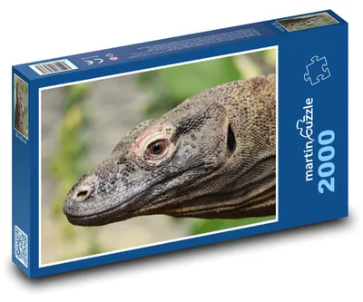 Obrázok produktu pre Puzzle 2000 Komodský drak detailne - martinpuzzle