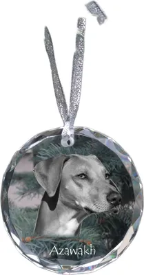 Imagen del producto de Art-Dog Adorno para árbol de Navidad – Azawakh