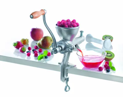 Produktbild von Karl Krüger FBPST Grauguss Beeren-Frucht-Presse Hawai mit Holzgriff - inkl. Stampfer aus Kunststoff