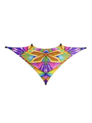 Produktbild von PSYWORK Schwarzlicht Segel Elasthan Dreieck M "Neon Polygon Dragonfly", 1,0x1,75m