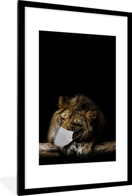 Produktbild von MuchoWow® MuchoWow® Gerahmtes Poster Maulkappe - Löwe - Tiere 60x90 cm - Poster mit zchwarzem Bilderrahmen - Dekoration - Wandposter Wohnzimmer - Hochwertig