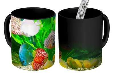 Obrázok produktu pre KitchenYeah® Magický hrnček Magický hrnček Magická ryba v akváriu 350 ml hrnček na zmenu farby nápad na darček - magický hrnček - fotohrnček - keramické hrnčeky - obrázky - hrnček na kávu - hrnček na nápoje -