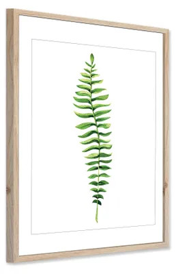 Image de Tableau sur toile, motif "Wood Ferstera", 30x40 cm. Décoration murale en toile avec motif bois, nature, plantes, style moderne. Idéal pour le salon, la chambre, le bureau ou le couloir. Parfait comme cadeau, œuvre d'art murale et élément de décoration