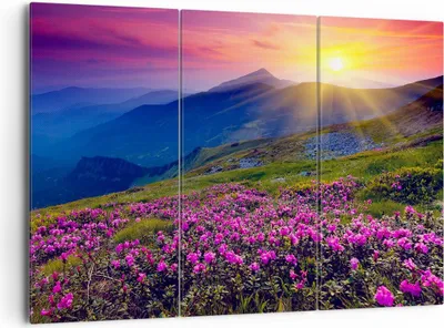 Produktbild von Bild auf Leinwand - Leinwandbild - Wiese Berge Landschaft - 165x110cm - Wand Bild - Wanddeko - Leinwanddruck - Bilder - Kunstdruck - Wanddekoration - Leinwand bilder - Wandkunst - CE165x110-2676