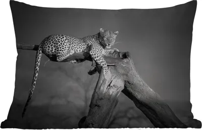 Produktbild von MuchoWow® Outdoor Kissen - Panther - Baum - Tiere - Schwarz - Weiß - 60x40 cm - Wetterfest - Lounge Kissen - Zierkissen - Kissen für Innenräume