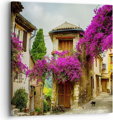 Produktbild von Bild auf Leinwand - Leinwandbild - Straße Sommer Blumen - 40x40cm - Wand Bild - Wanddeko - Leinwanddruck - Bilder - Kunstdruck - Wanddekoration - Leinwand bilder - Wandkunst - AC40x40-3589