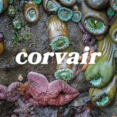 Produktbild von Corvair: Corvair - 375 Media  - (LP / C)
