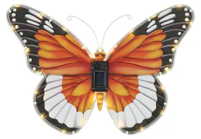 Produktbild von LED Solarleuchte, Schmetterling, Druckschalter, B 35 cm