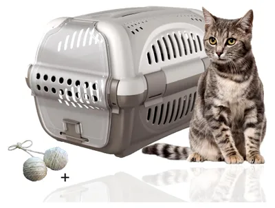 Produktbild von Transportbox für Katzen und kleine Hunde in Grau