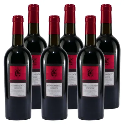 Produktbild von Conte di Campiano Negroamaro Passito IGT -trocken- (6 x 0,75L)