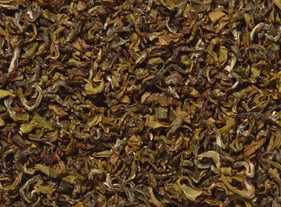 Produktbild von 1 kg -  - Grüner Tee Nepal k.b.A. HG Jun Chiyabari DE-ÖKO-006