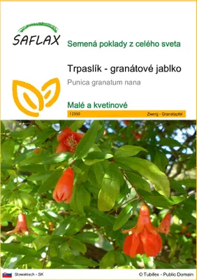 Obrázok produktu pre SAFLAX - Trpaslík - granátové jablko - Punica granatum nana - 50 Semená