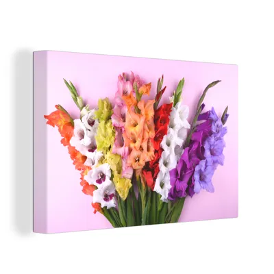 Produktbild von OneMillionCanvasses® - Leinwandbilder - 150x100 cm, Gladiolen - Blumen - Farben, Wandbilder Kunstdruck Wanddekoration