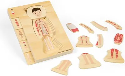 Obrázek produktu pro Bigjigs Toys Anatomické puzzle - chlapec