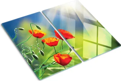 Obrázok produktu pre Sklenená ochranná doska – Kryt varnej dosky – Kryt na indukčnú dosku – 2x30x52 cm – Rýchle čistenie – Tvrdené sklo – Slnko a maky