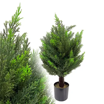 Produktbild von Zypresse 60 cm künstlich wie echt Zeder Konifere Kunstpflanze Kunstbaum