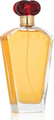 Image de Borghese Il Bacio Eau De Parfum 100 ml (femme)