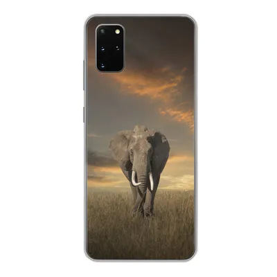 Produktbild von MuchoWow® Handyhülle Schutzhülle Hülle für Samsung Galaxy S20 Plus Elefant - Tiere - Gras - Natur Silikon Softcase Handy Hülle - Hartschale