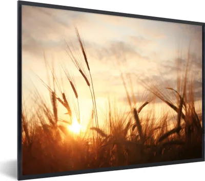 Produktbild von MuchoWow® Gerahmtes Poster Schilf - Gras - Sonnenuntergang - Natur - Horizont 80x60 cm - Poster mit Schwarzem Bilderrahmen Wandposter Rahmen Foto Bilder - Schwarzem - Mit Gestell