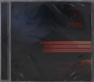 Produktbild von Dominic Fike: What Could Possibly Go Wrong - - (CD / W)