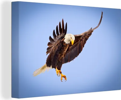 Produktbild von OneMillionCanvasses® - Leinwandbilder - 150x100 cm, Adler - Luft - Tier, Wandbilder Kunstdruck Wanddekoration