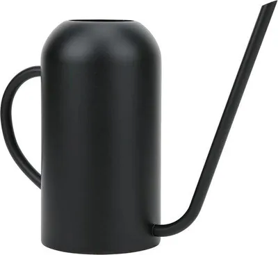 Productafbeelding van Famanu gieter van roestvrij staal met lange tuit - 15 liter - ergonomische handgreep