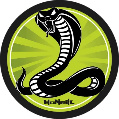 Image de McNeill accessoires pour cartables McAddy Schlange - Grün vert clair