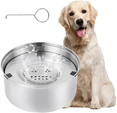 Auslaufsichere Wasserschüssel für Hunde, Hauptbild