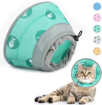 Produktbild von Schmackdichtes Halsband für Welpen, kleine Hunde und Katzen nach Operation oder Verletzung (grün, M)