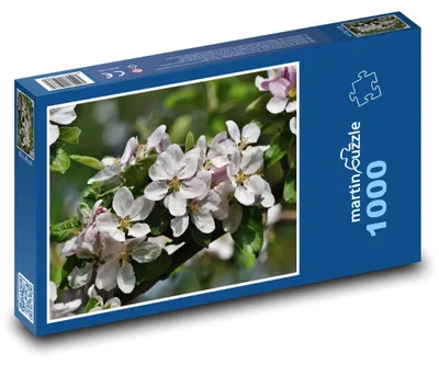 Zdjęcie produktu dla Puzzle 1000 Kwiaty jabłoni na drzewie - martinpuzzle