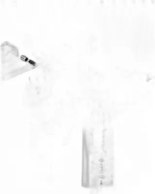 Image de Arbre