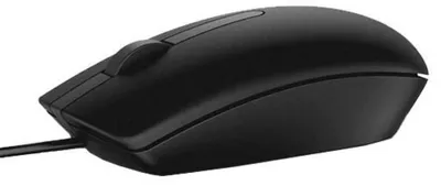 Image de DELL MS116, ambidextre, optique, USB type A, 1000 DPI, noir