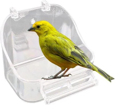 Produktbild von Vogelbad für kleine Vögel mit hangender Pappelbadkuip