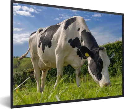 Produktbild von MuchoWow® Gerahmtes Poster Kuh - Wald - Gras - Tiere 80x60 cm - Poster mit Schwarzem Bilderrahmen Wandposter Rahmen Foto Bilder - Schwarzem - Mit Gestell